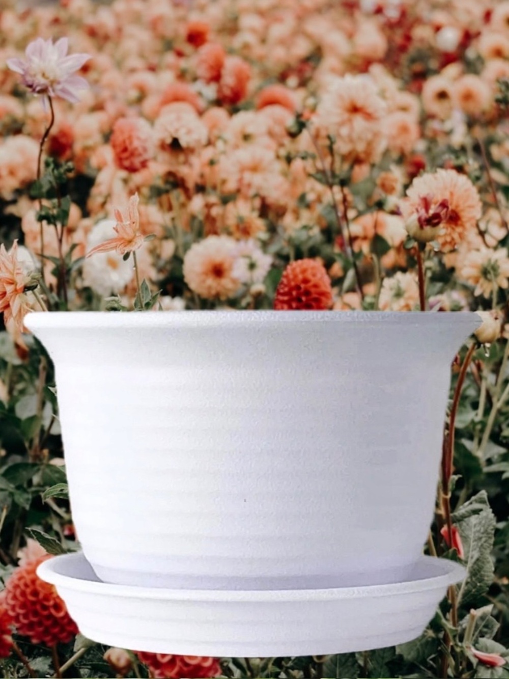 6” White Round Plastic Plant Pot Saucer Drainage Tray – Indoor & Outdoor Planter